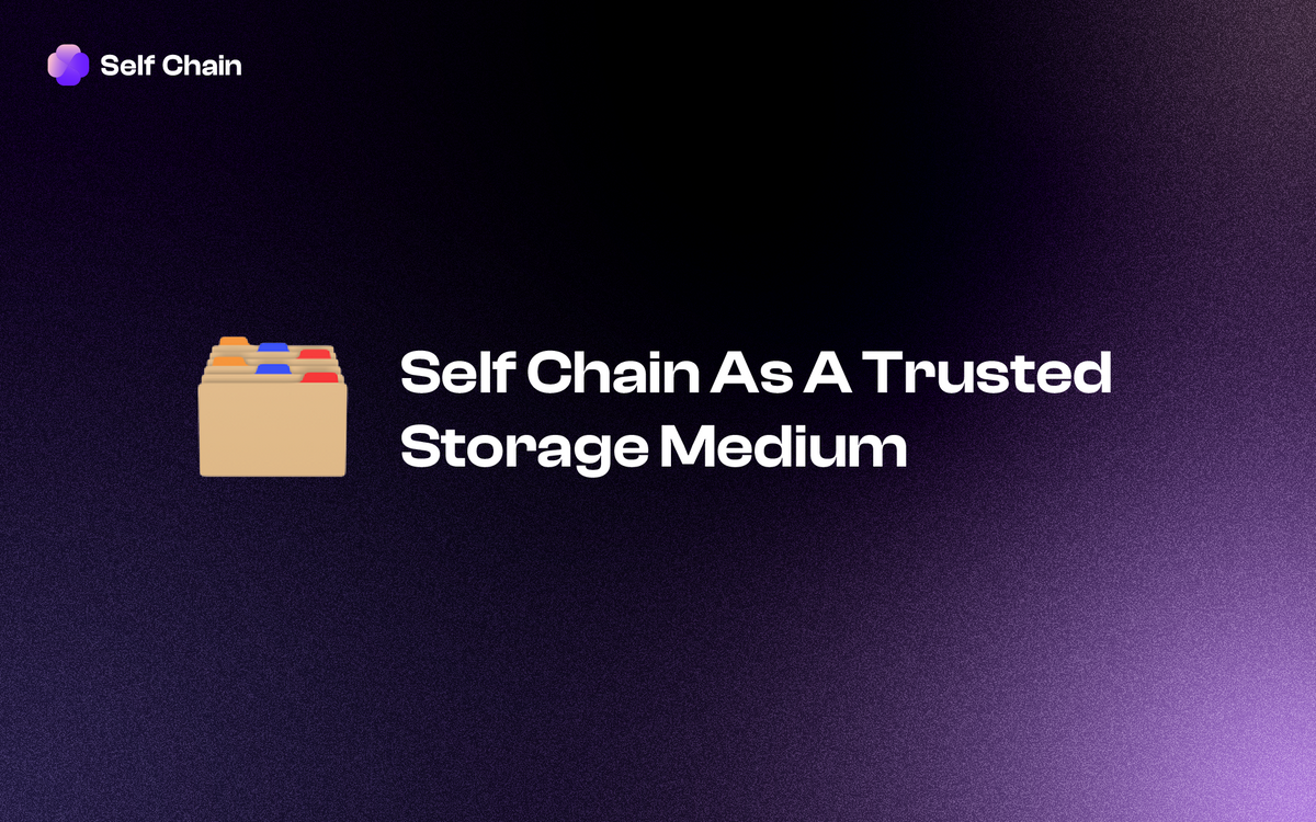 Securing Digital Assets: Self Chain As A Trusted Storage Medium