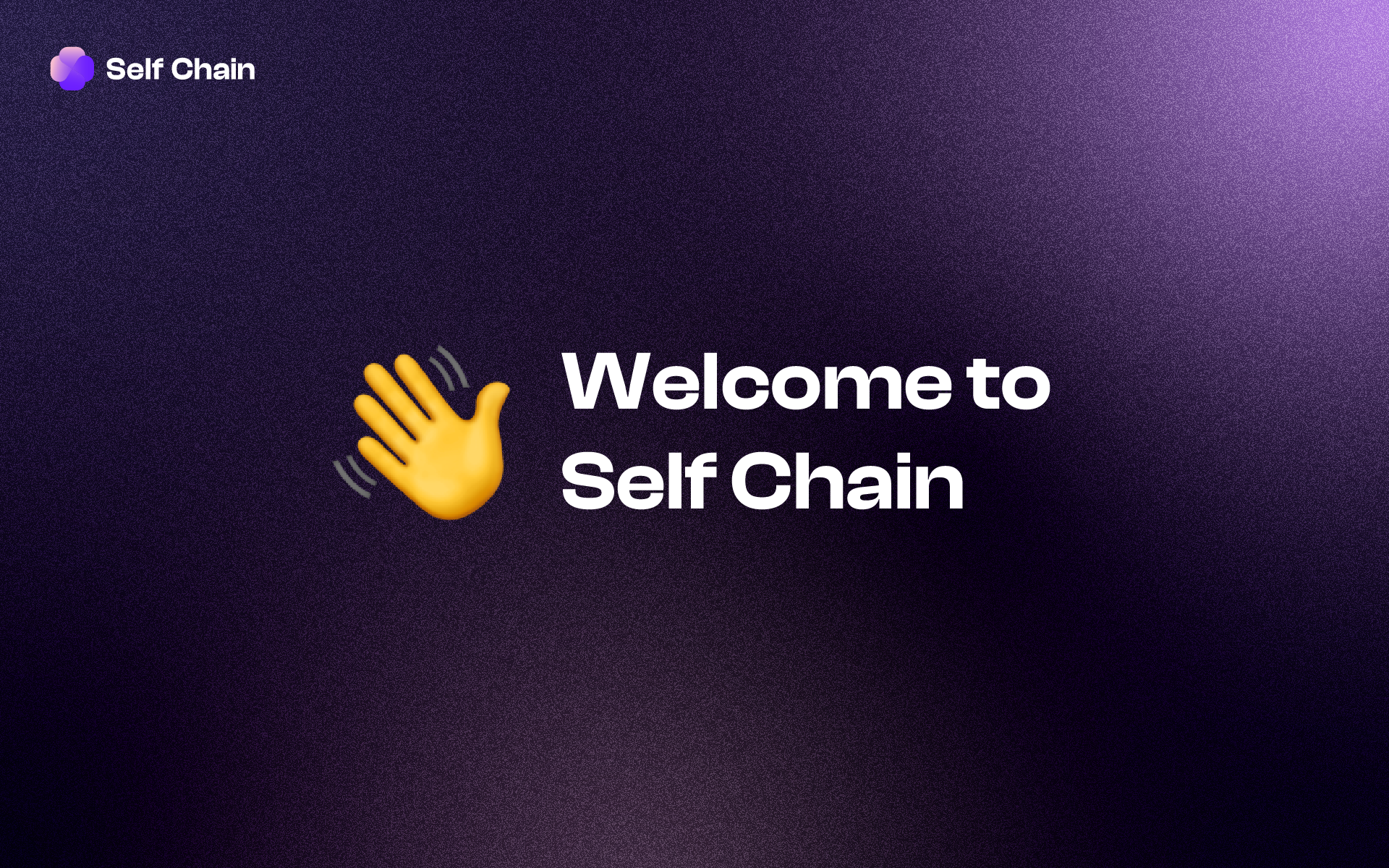 Meet Self Chain