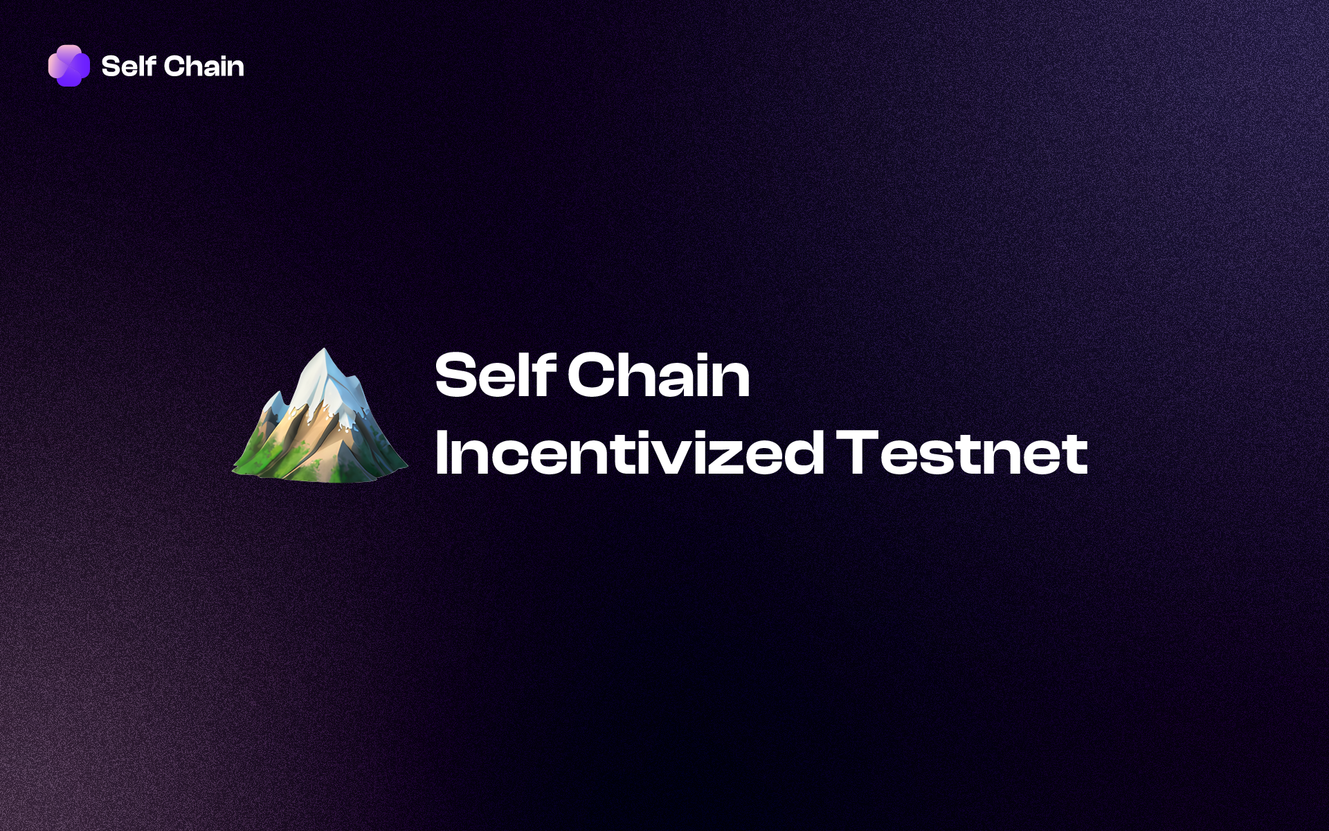 Self Chain Incentivized Testnet