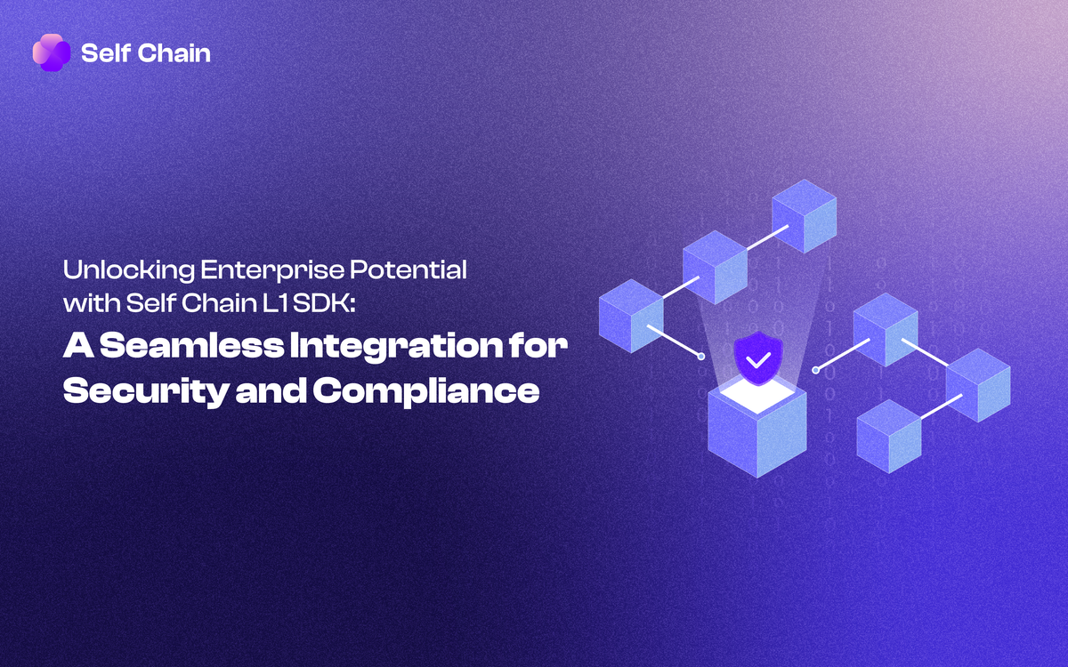 Unlocking Enterprise Potential with Self Chain L1 SDK: A Seamless Integration for Security and Compliance