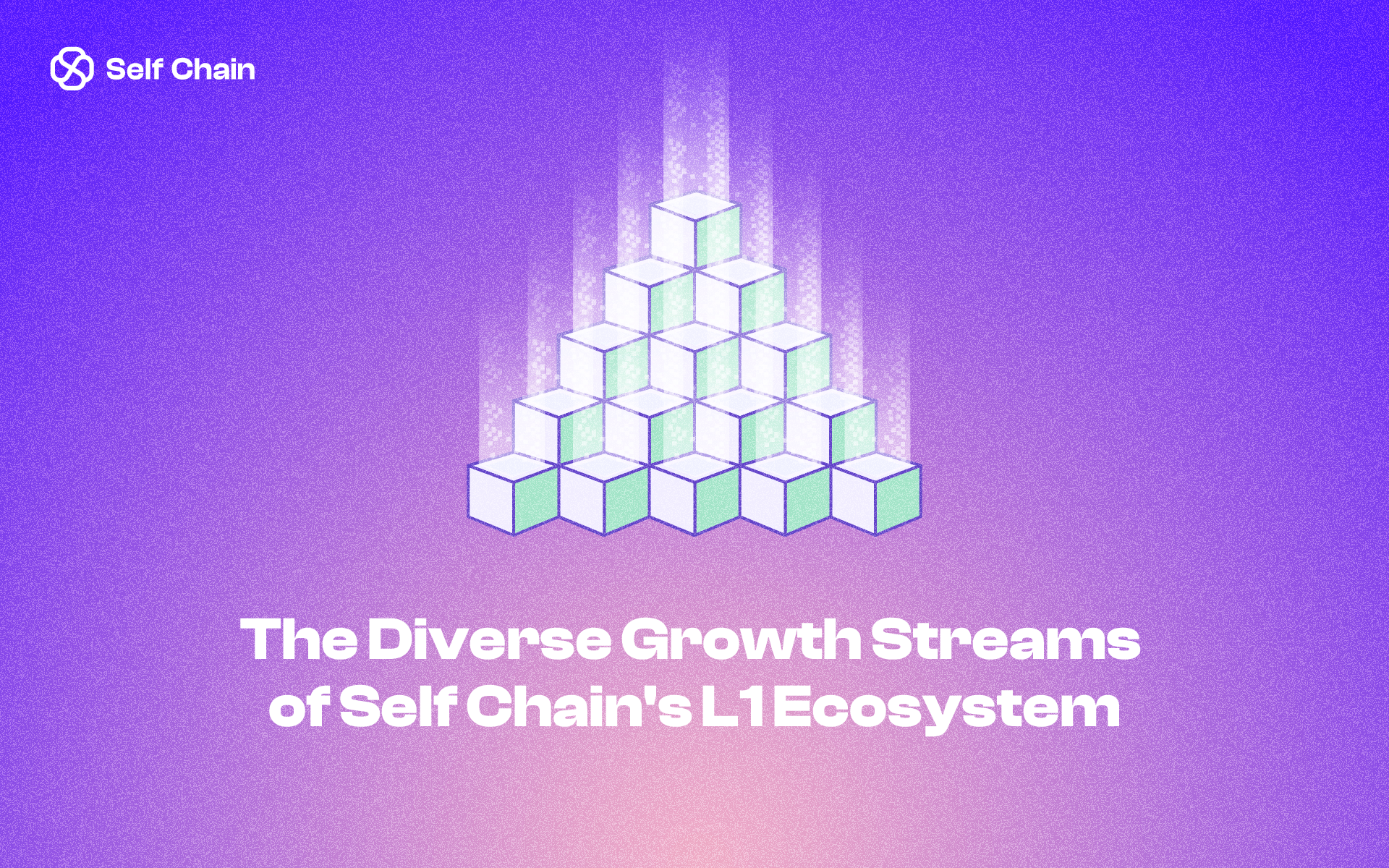 The Diverse Growth Streams of Self Chain's L1 Ecosystem