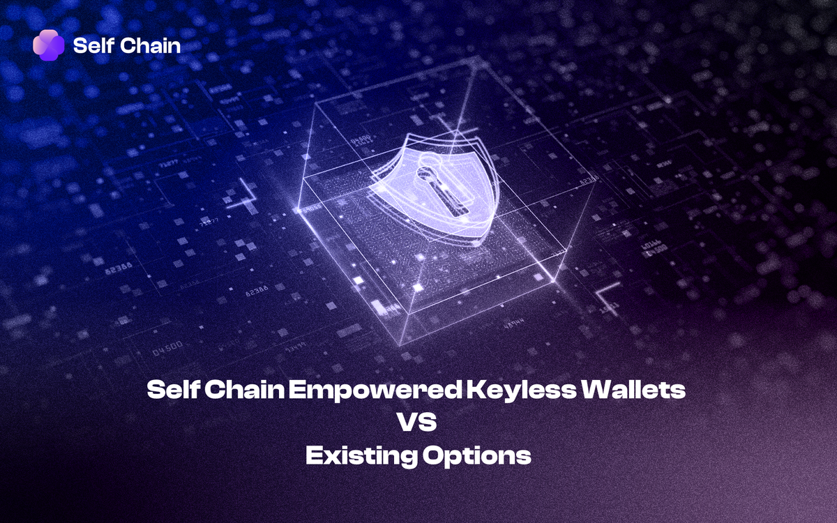 Self Chain Empowered Keyless Wallets VS Existing Options