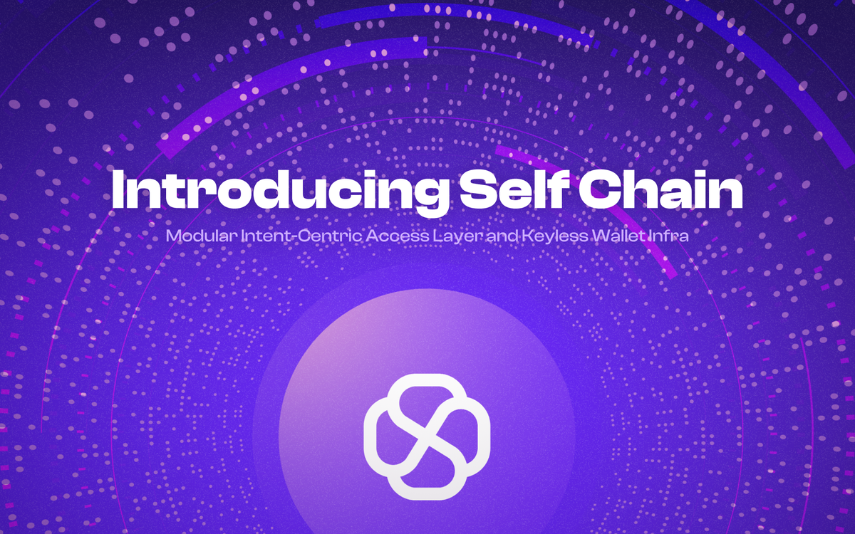 Introducing Self Chain