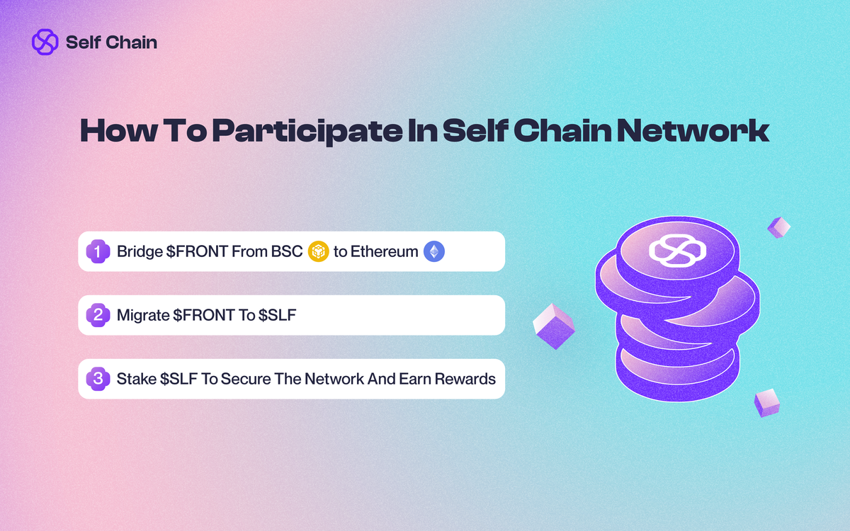 How to Participate in Self Chain Network