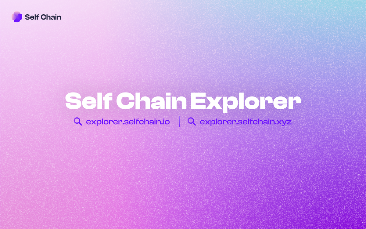 Self Chain Explorer