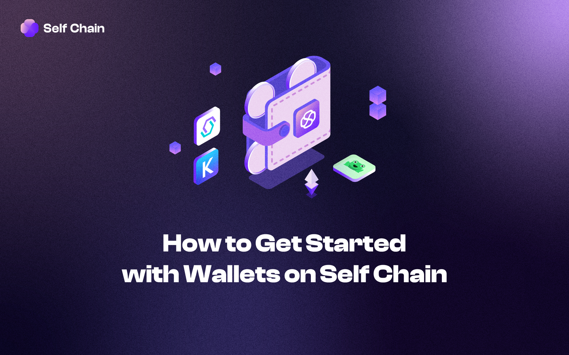 How to Get Started with Wallets on Self Chain