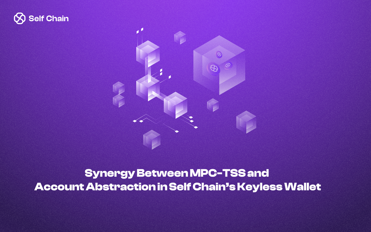 Synergy Between MPC-TSS and Account Abstraction in Self Chain’s Keyless Wallet