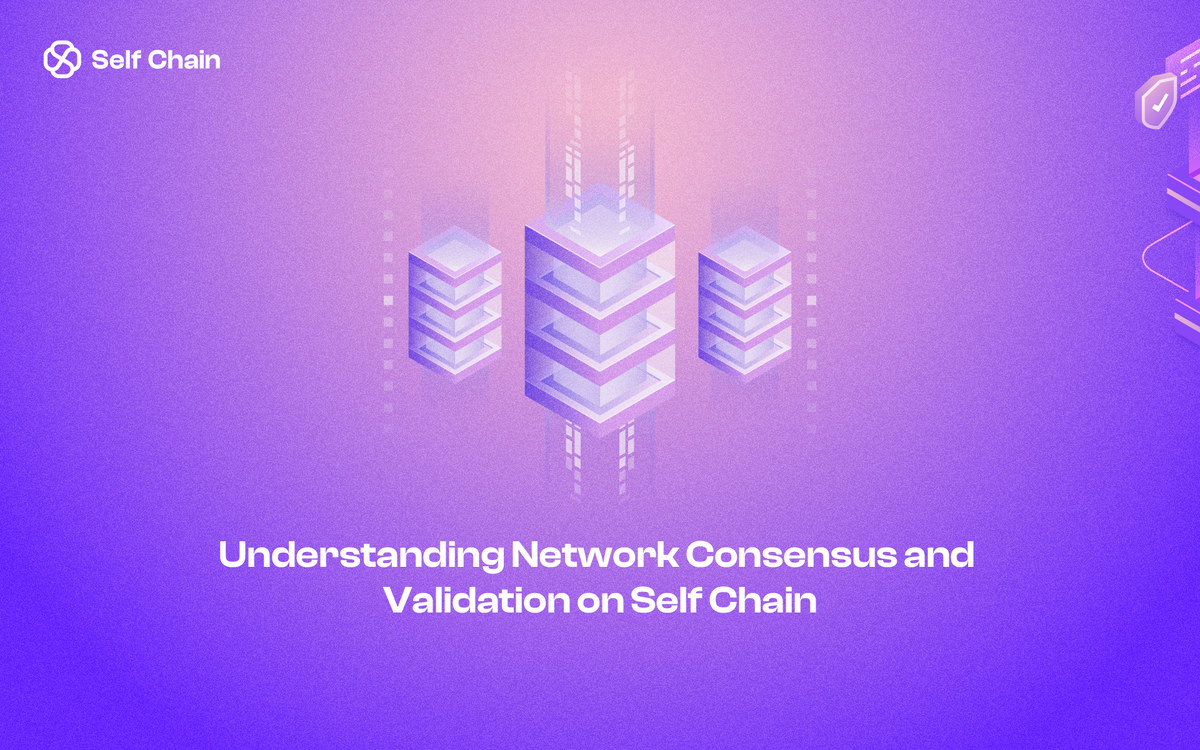 Understanding Network Consensus and Validation on Self Chain