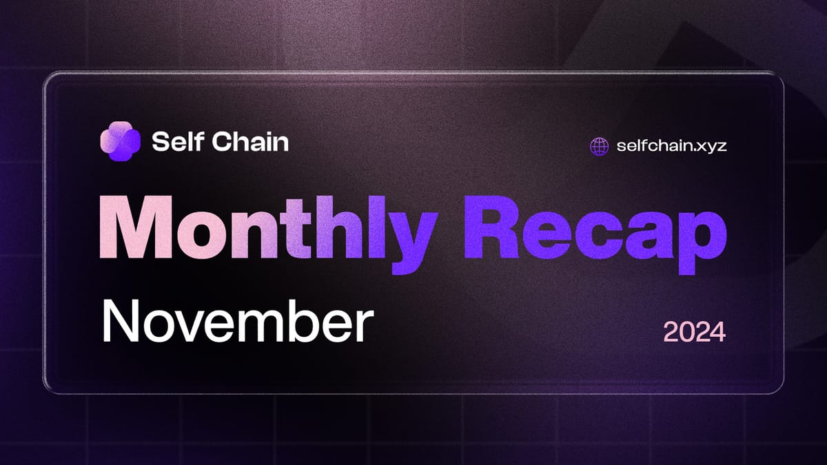 Self Chain Monthly Recap - November 2024