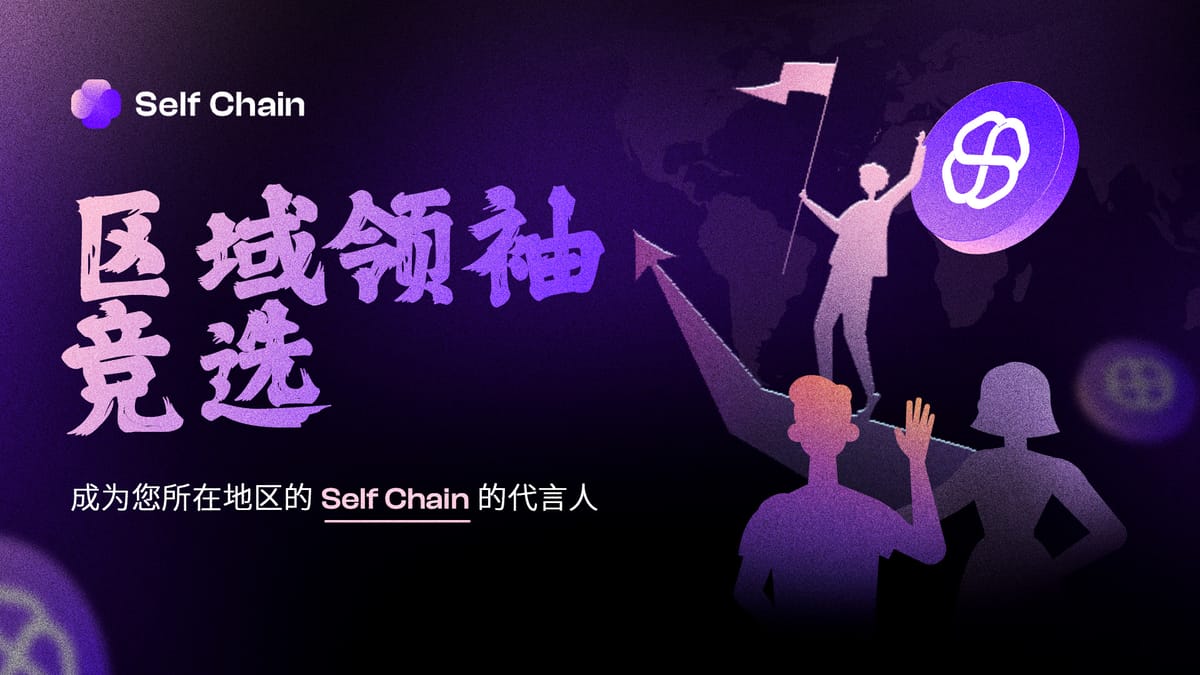 介绍 Self Chain 区域领导者活动