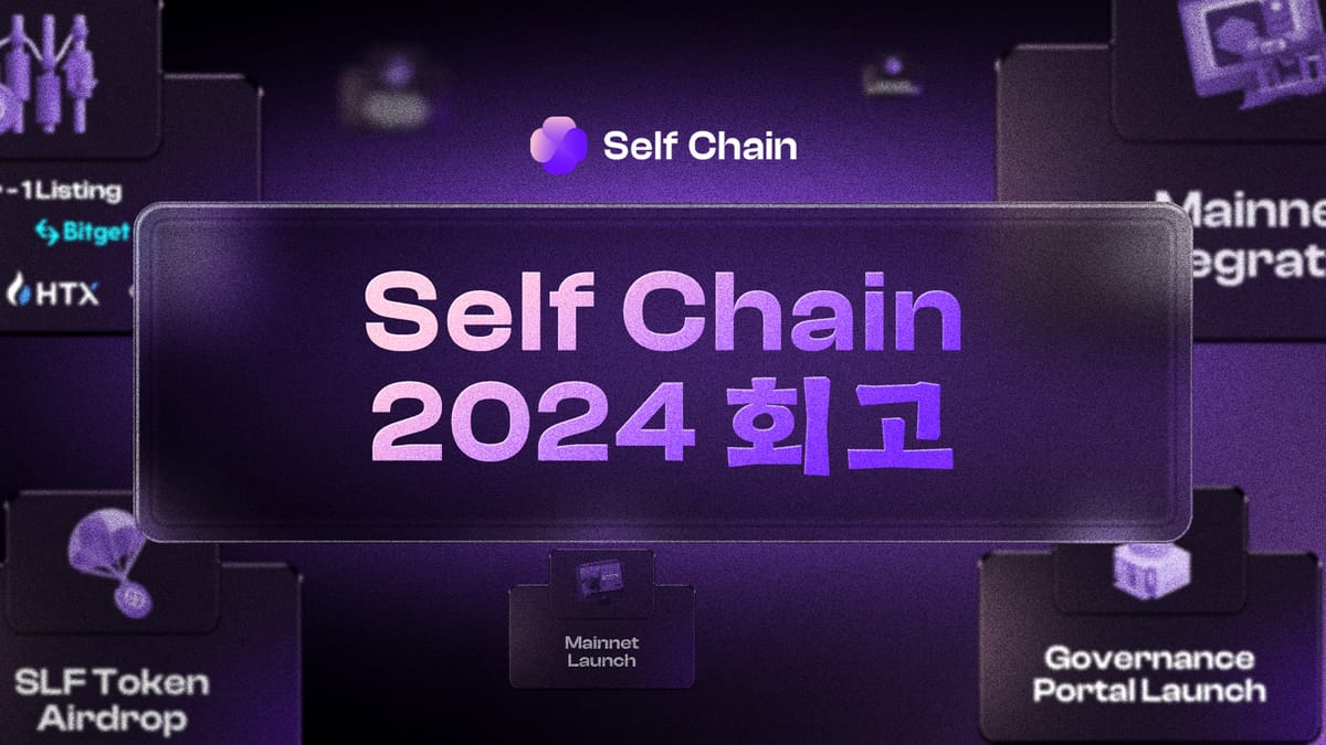 Self Chain 2024 회고