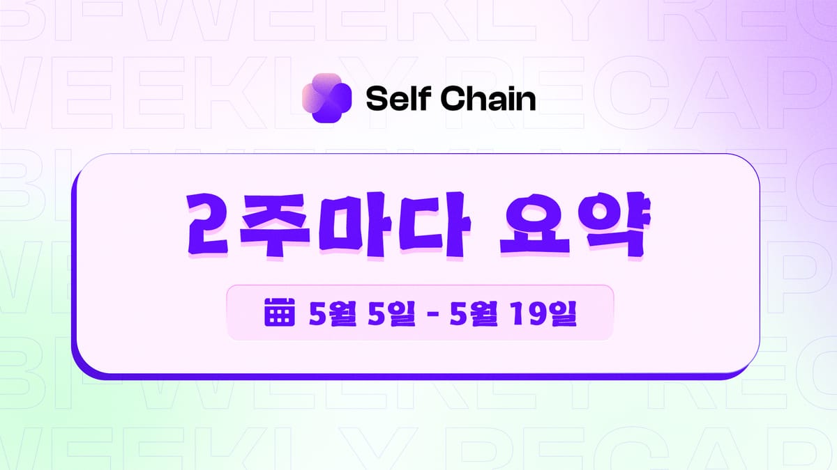 셀프 체인 2주차 요약: AI 자동화, DePIN 통합 및 개발자 역량 강화